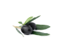 siyah zeytin