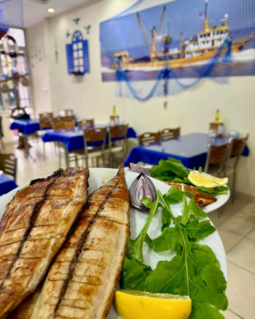 Dört mevsim balıkçılık (kadıköy)
