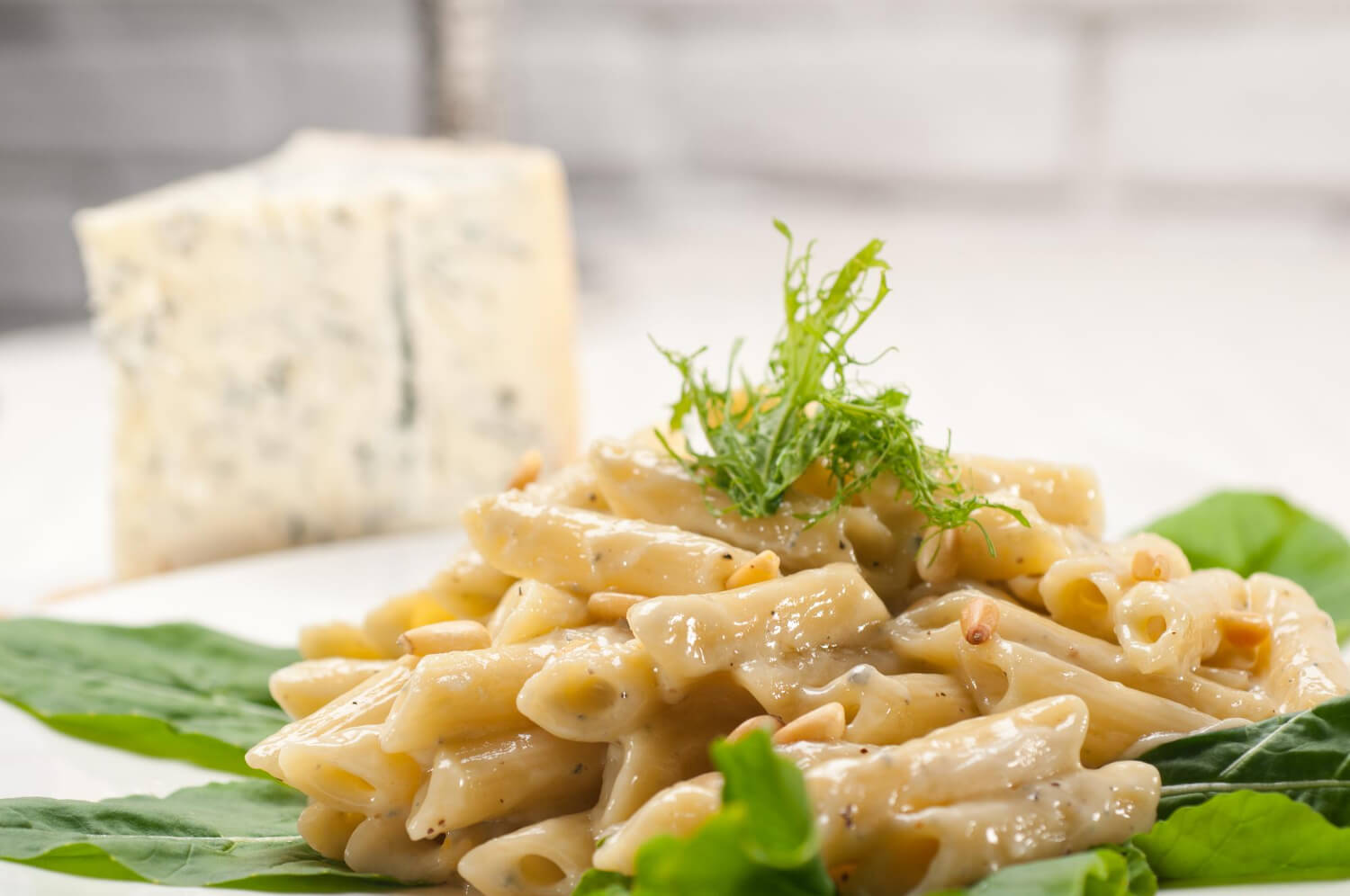 Peynirli penne makarna tarifi – lezzetli, pratik ve doyurucu